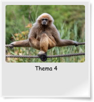 Thema 4